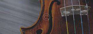 Violins