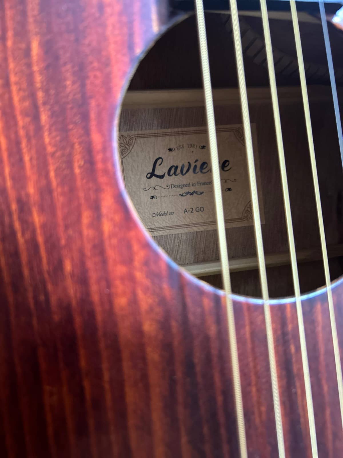 Laviere A2GO Acoustic Guitar - Image 3